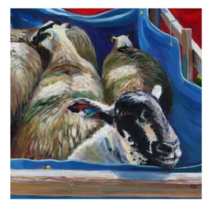Art Print of sheep - 'Pen Friends' - ltd ed giclee print 2/135